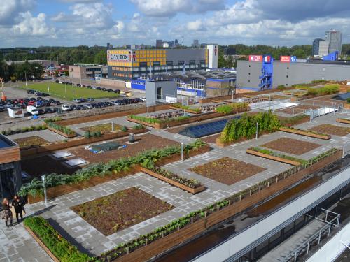 Bird's eye view on a large rooftop farm